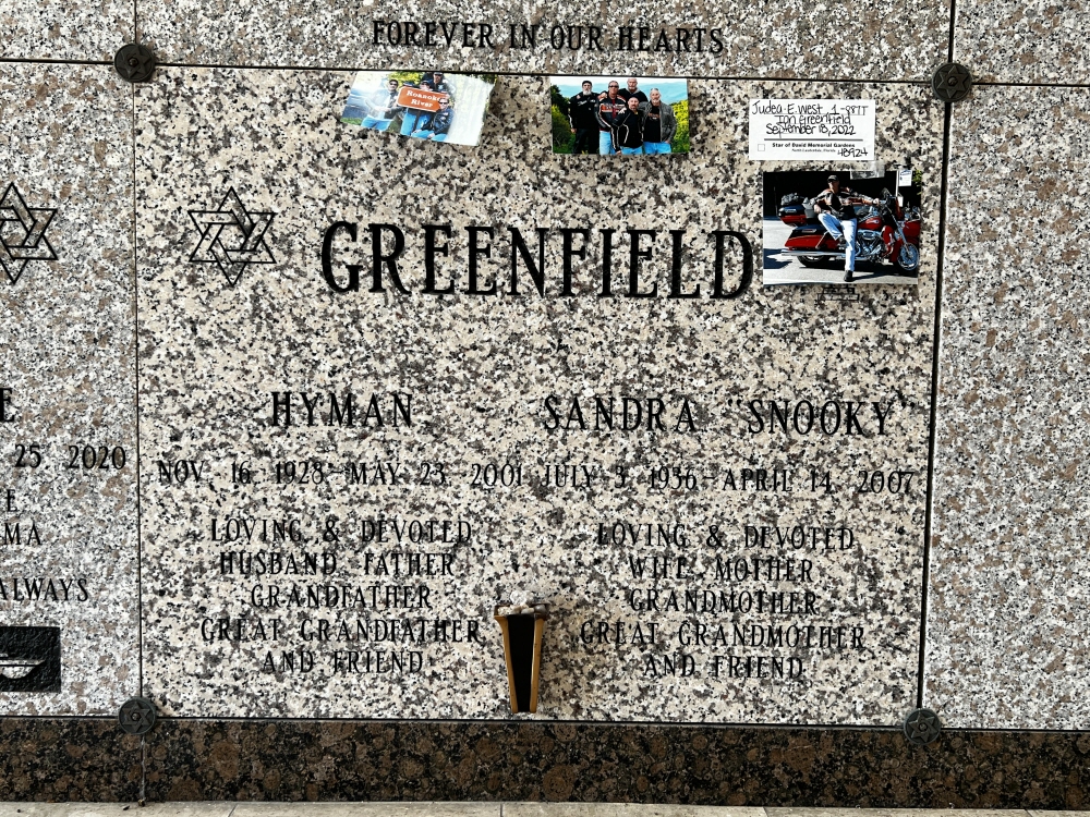 Ian Lee Greenfield